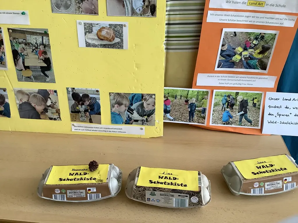 Ausstellungswand zum Thema Wald, davor Wald-Schatzkisten aus Eierkartons