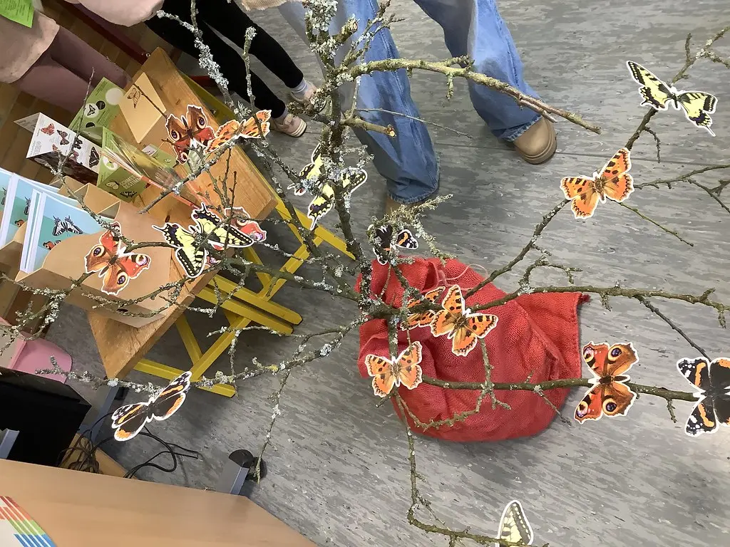 Deko-Ast mit ausgeschnittenen Schmetterlingsbildern, daneben Infomaterial über Schmetterlinge