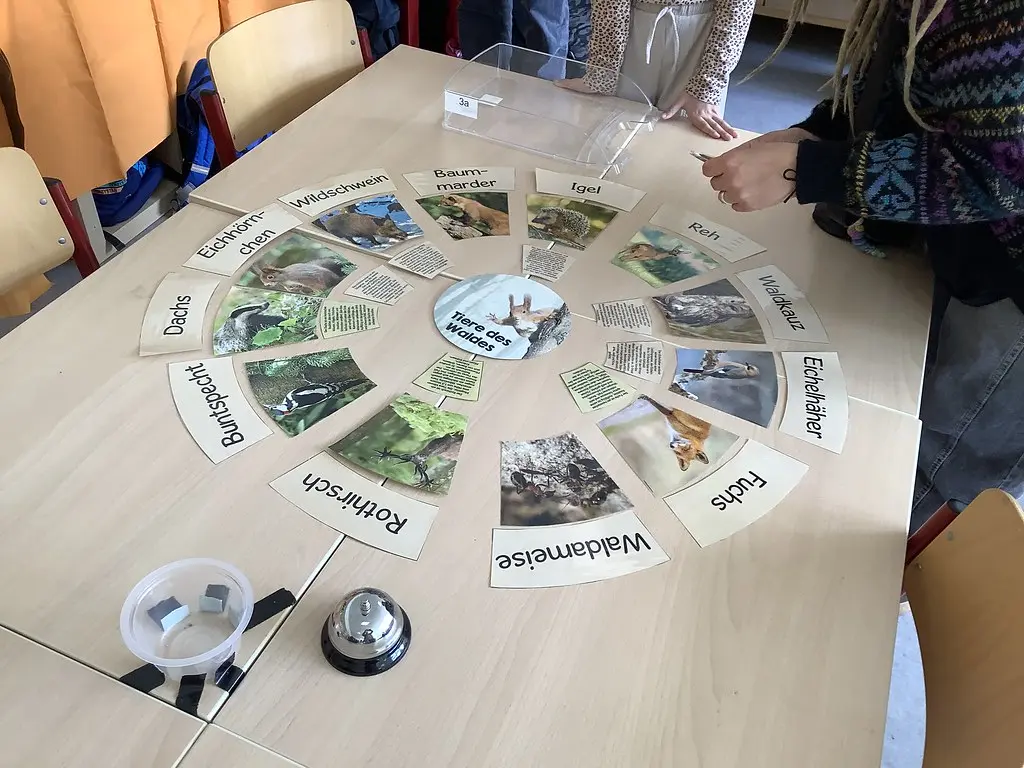 Legekreis „Tiere des Waldes“ mit Tierfotos und Namensschildern auf einem Tisch