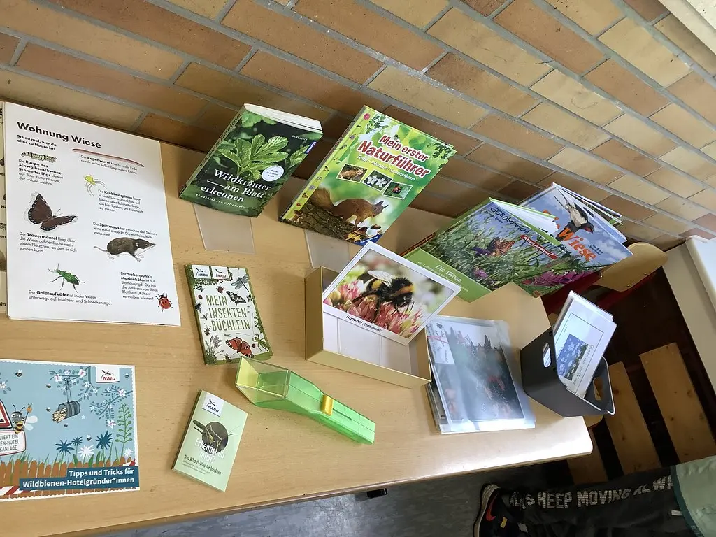 Ausstellungstisch mit Naturführern, Insektenbüchlein und Becherlupe zum Thema Wiese