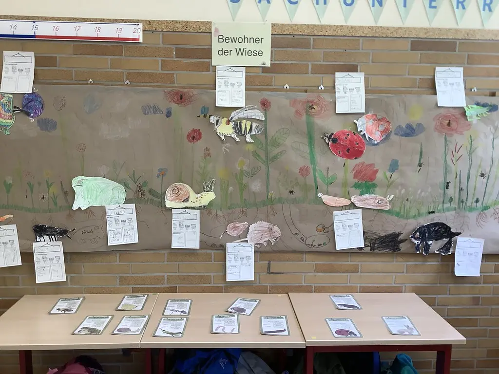 Wandbild „Bewohner der Wiese“ mit gemalten Tieren und Steckbriefen auf Papier