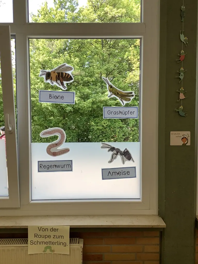 Fenster mit ausgeschnittenen Insekten und Namensschildern wie Biene und Regenwurm