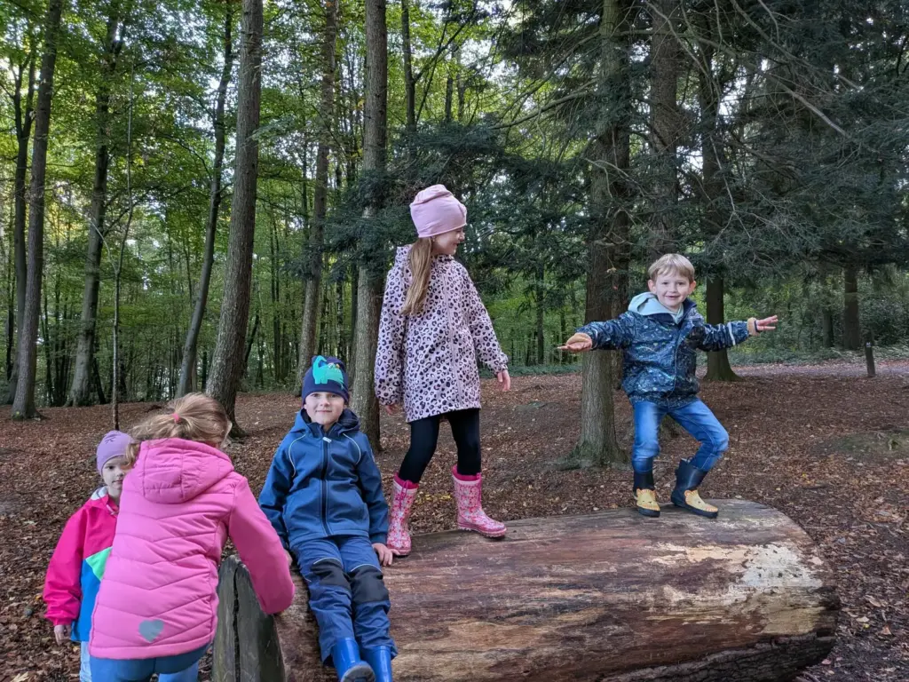 Kinder spielen im Wald