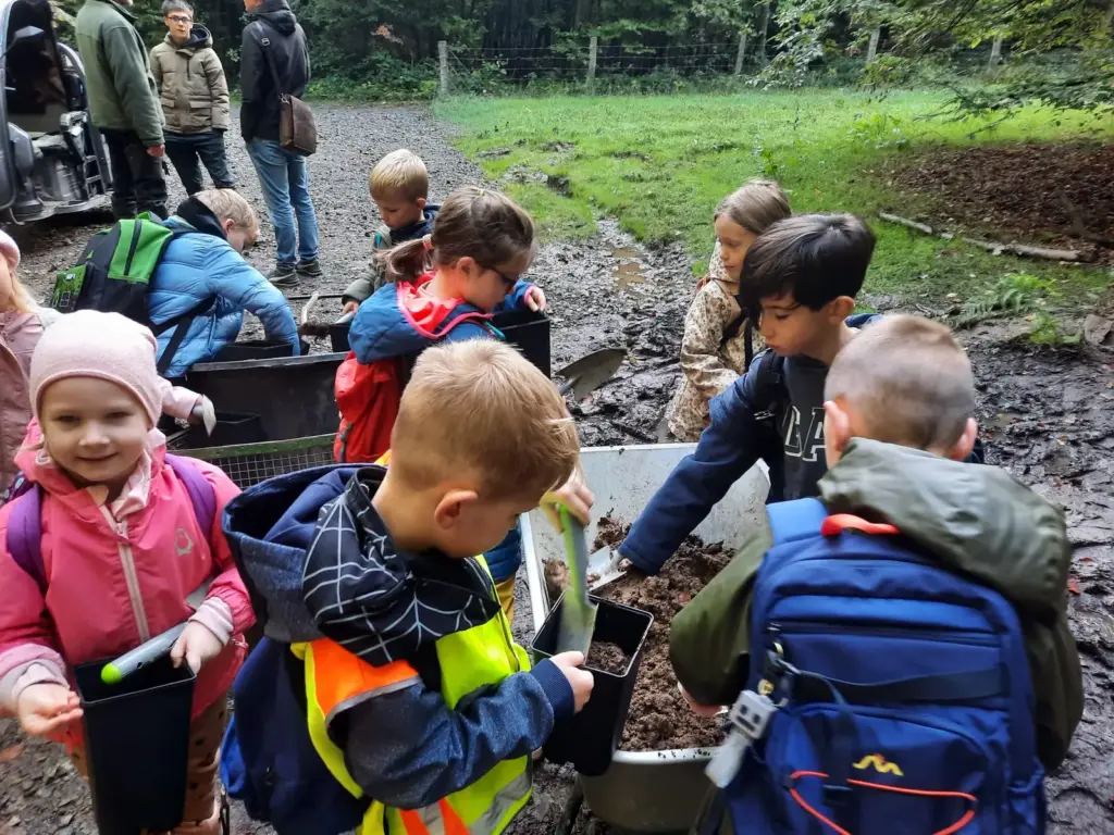 Samen pflanzen