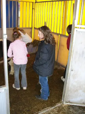 Foto 21 aus der Archivgalerie Zirkus-Projektwoche (2008)