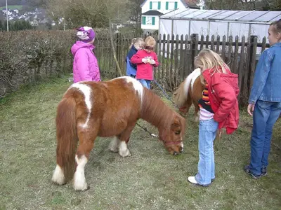 Foto 24 aus der Archivgalerie Zirkus-Projektwoche (2008)