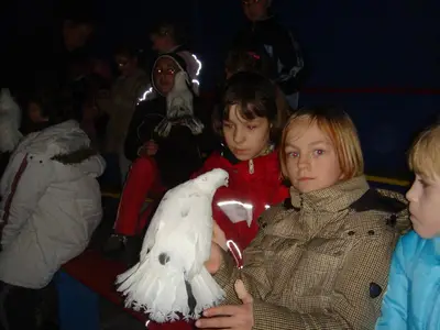 Foto 53 aus der Archivgalerie Zirkus-Projektwoche (2008)
