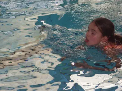 Foto 5 aus der Archivgalerie Schwimmwettkampf 2009 (2009)