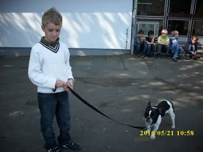 Foto 2 aus der Archivgalerie Grundschule trifft Hundeschule (2010)