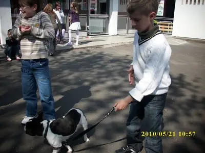 Foto 3 aus der Archivgalerie Grundschule trifft Hundeschule (2010)
