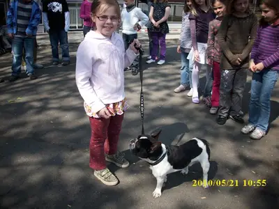 Foto 4 aus der Archivgalerie Grundschule trifft Hundeschule (2010)