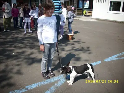 Foto 5 aus der Archivgalerie Grundschule trifft Hundeschule (2010)