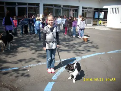 Foto 6 aus der Archivgalerie Grundschule trifft Hundeschule (2010)