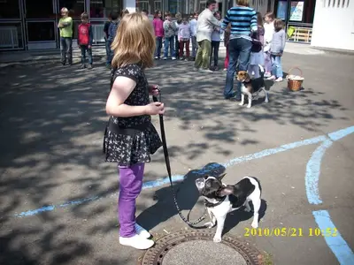 Foto 7 aus der Archivgalerie Grundschule trifft Hundeschule (2010)