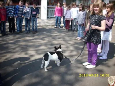 Foto 9 aus der Archivgalerie Grundschule trifft Hundeschule (2010)