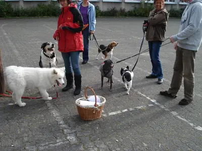 Foto 3 aus der Archivgalerie Hundeschule zu Besuch (2010)