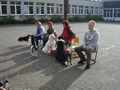 Foto 4 aus der Archivgalerie Hundeschule zu Besuch (2010)