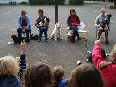 Foto 15 aus der Archivgalerie Hundeschule zu Besuch (2010)