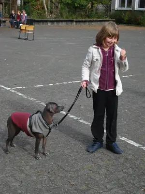 Foto 19 aus der Archivgalerie Hundeschule zu Besuch (2010)