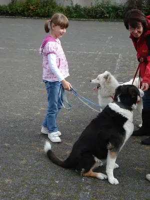 Foto 20 aus der Archivgalerie Hundeschule zu Besuch (2010)