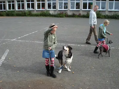 Foto 21 aus der Archivgalerie Hundeschule zu Besuch (2010)