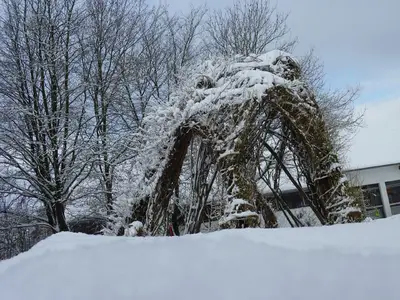 Foto 1 aus der Archivgalerie Winterbilder (2010)
