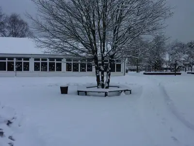 Foto 8 aus der Archivgalerie Winterbilder (2010)