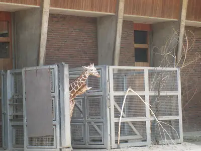Foto 6 aus der Archivgalerie Zoobesuch der 2. Klassen (2010)