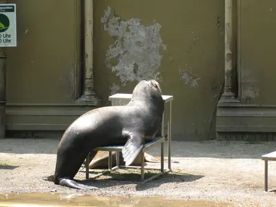 Foto 7 aus der Archivgalerie Zoobesuch der 2. Klassen (2010)