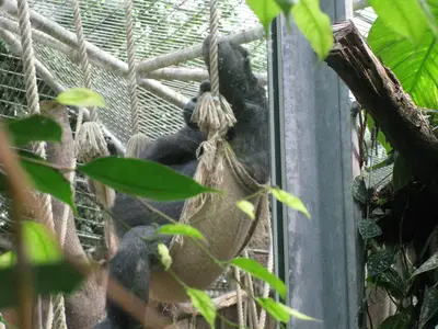 Foto 18 aus der Archivgalerie Zoobesuch der 2. Klassen (2010)