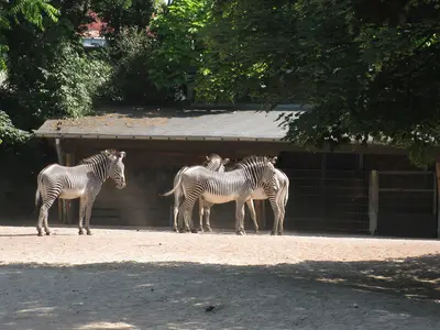 Foto 28 aus der Archivgalerie Zoobesuch der 2. Klassen (2010)