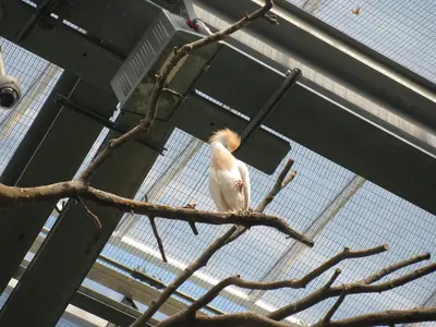 Foto 41 aus der Archivgalerie Zoobesuch der 2. Klassen (2010)