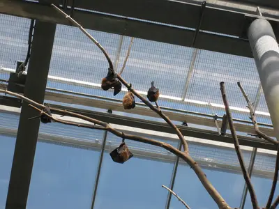 Foto 43 aus der Archivgalerie Zoobesuch der 2. Klassen (2010)
