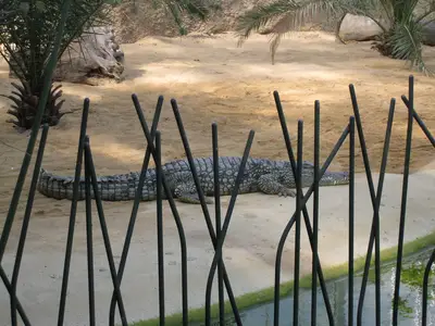 Foto 44 aus der Archivgalerie Zoobesuch der 2. Klassen (2010)