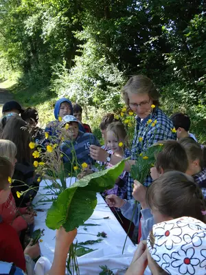 Foto 3 aus der Archivgalerie Bergisches Naturmobil (2011)