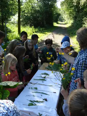 Foto 4 aus der Archivgalerie Bergisches Naturmobil (2011)