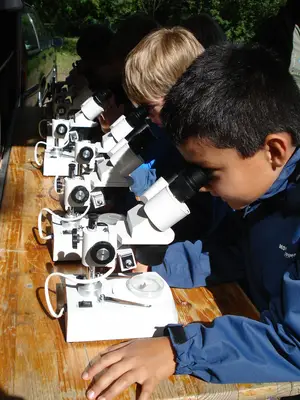 Foto 13 aus der Archivgalerie Bergisches Naturmobil (2011)