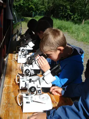 Foto 14 aus der Archivgalerie Bergisches Naturmobil (2011)
