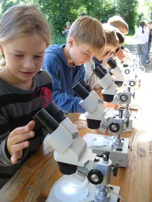 Foto 15 aus der Archivgalerie Bergisches Naturmobil (2011)