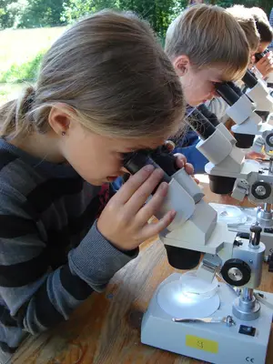 Foto 16 aus der Archivgalerie Bergisches Naturmobil (2011)