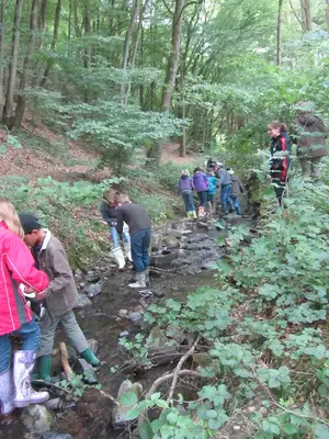 Foto 42 aus der Archivgalerie Bergisches Naturmobil (2011)