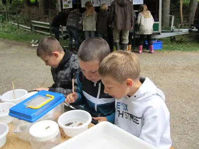 Foto 47 aus der Archivgalerie Bergisches Naturmobil (2011)
