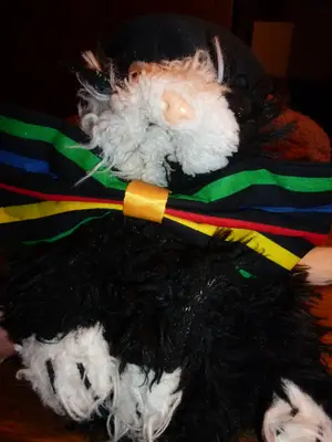 Foto 1 aus der Archivgalerie Karneval 2011 (2011)