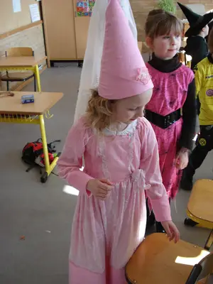 Foto 35 aus der Archivgalerie Karneval 2011 (2011)