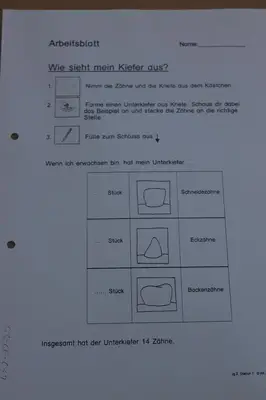 Foto 14 aus der Archivgalerie Zahnprophylaxe Klasse 2 (2011)