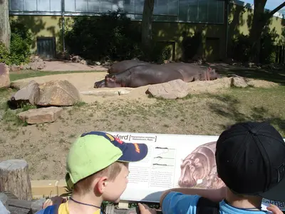 Foto 5 aus der Archivgalerie Zoobesuch (2011)