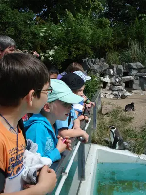 Foto 16 aus der Archivgalerie Zoobesuch (2011)