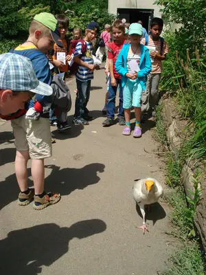 Foto 28 aus der Archivgalerie Zoobesuch (2011)