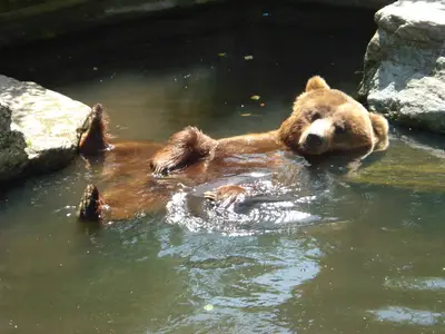 Foto 30 aus der Archivgalerie Zoobesuch (2011)