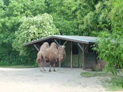 Foto 36 aus der Archivgalerie Zoobesuch (2011)